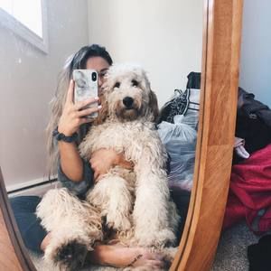 Meet your Posher, Janet